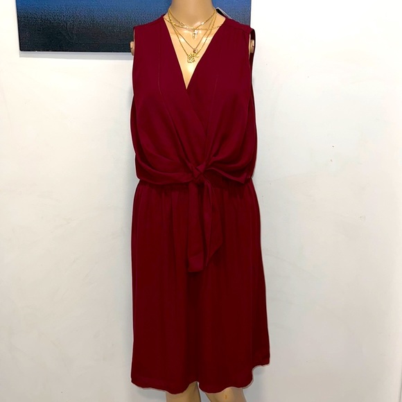 Double Wrap Dress with Front Tie - Picture 6 of 6